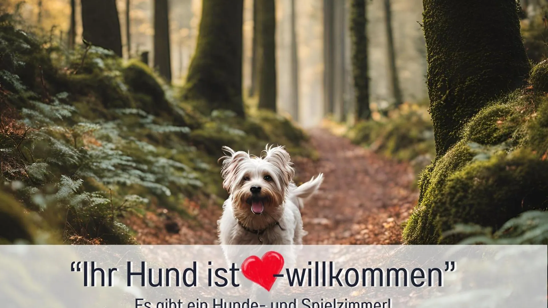 Ferienhaus Birkenoase - Sauna- Terrasse-Drei Schlafzimmer Bad Heilbrunn
